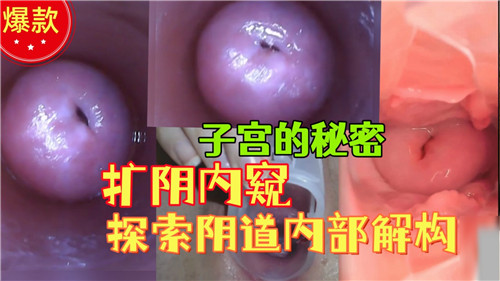 子宫的秘密扩阴内窥探索阴道内部结构